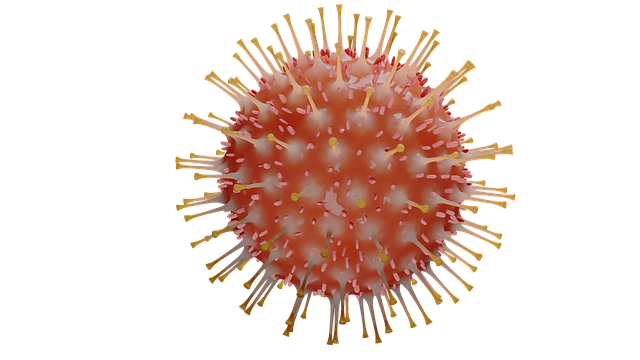 virus-4930122_640