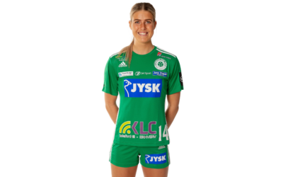 Ellebæk søger nye udfordringer